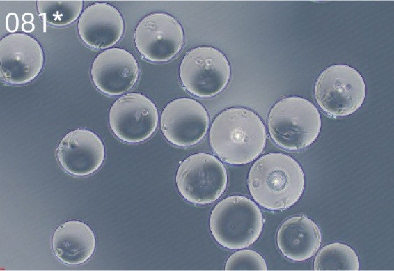 ΢2_Puredex® Cyto-1 ΢ 