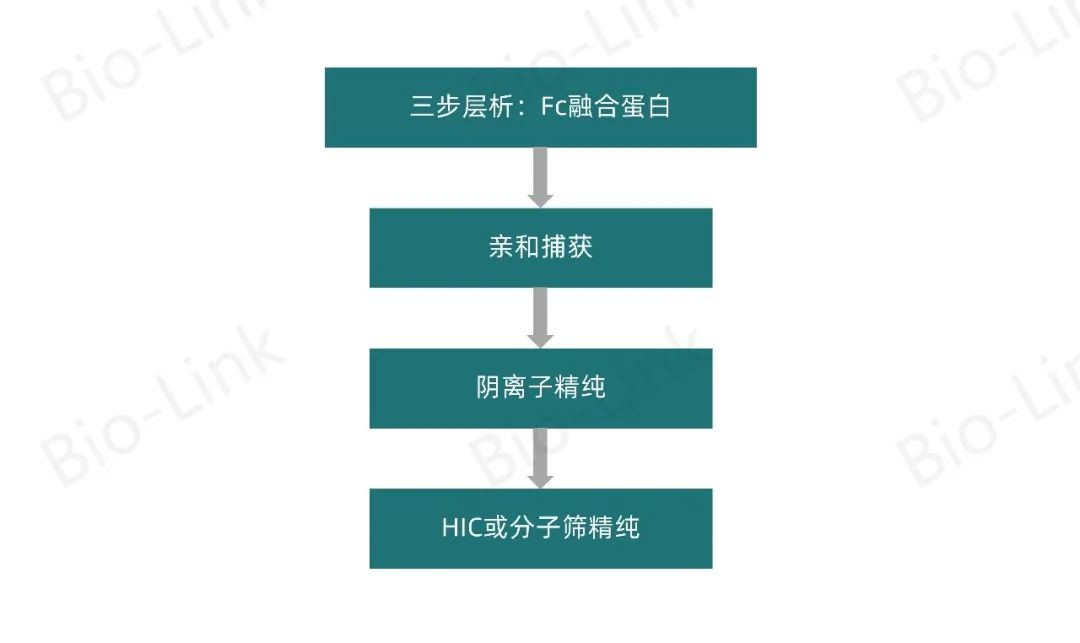 1701942159352725.jpg 2.jpg