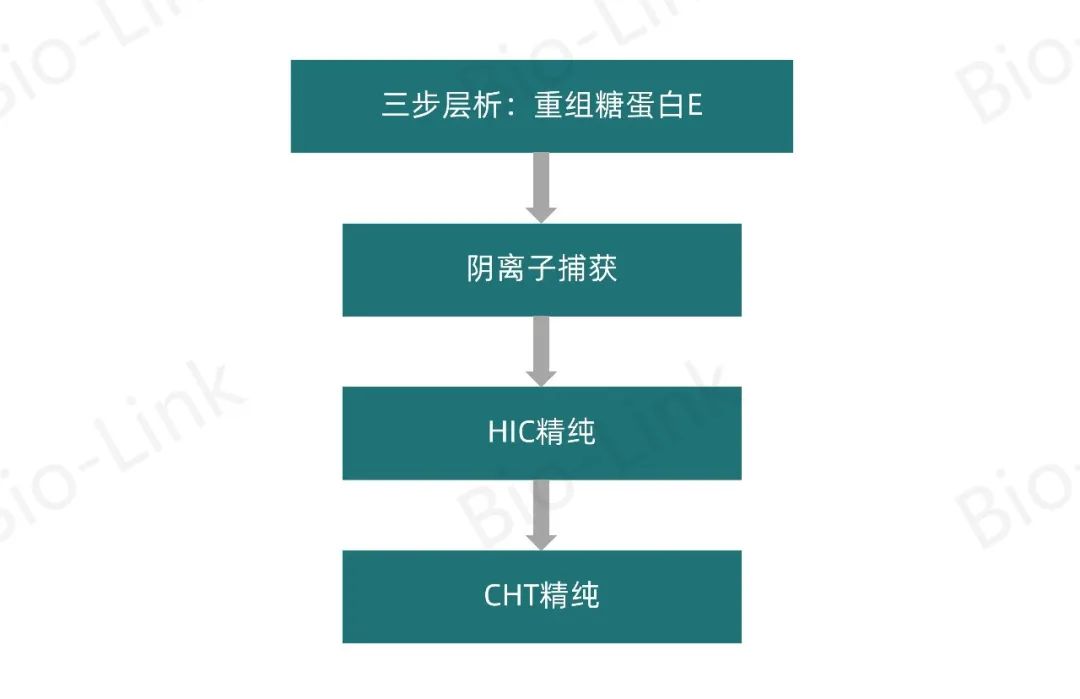 1701942392661343.jpg 4.jpg