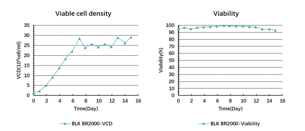 1702002035163842.png 表3.png