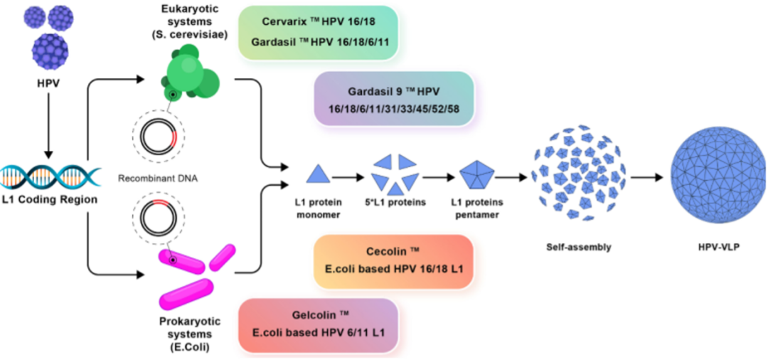 1702012671918422.png 411beb23b2fae61787c1a1fb30a2c418.png