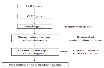 1702012814476916.png 2b073708504a67f4fc58d16989f75165.png