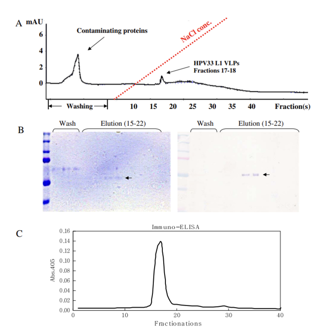 1702012929383633.png a4a3e25901dd118e5cff47fbf311db93.png