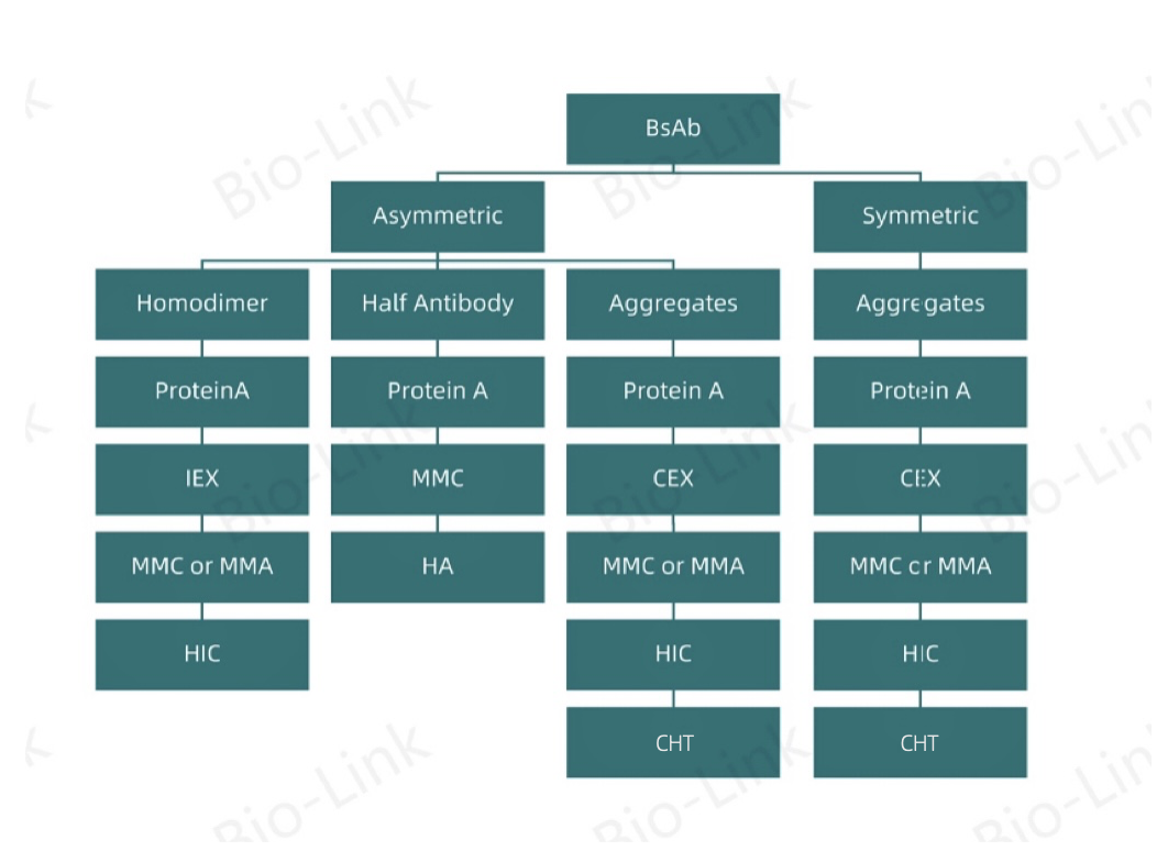 1702017570643103.png 640 (1).png