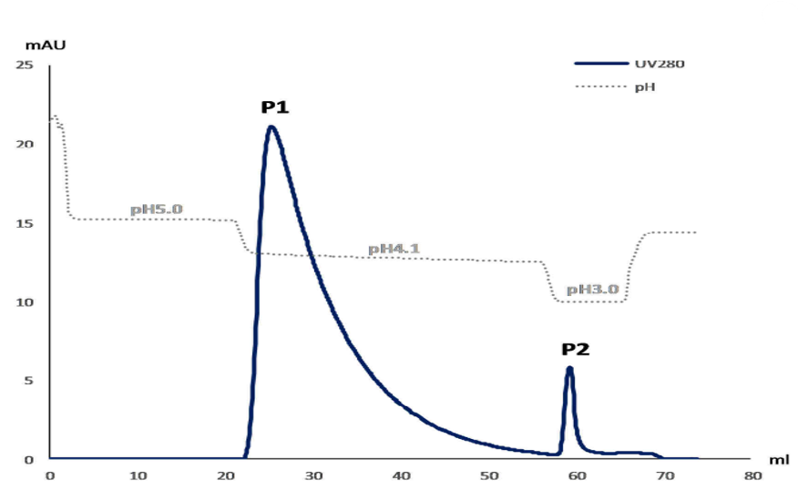 1702017672420206.png 640 (2).png