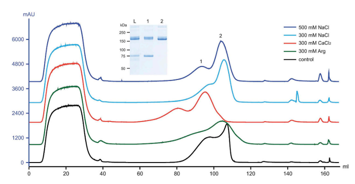 1702017732686370.png 640 (3).png