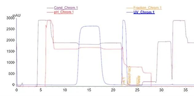 1702017989282735.jpg 640 (1).jpg