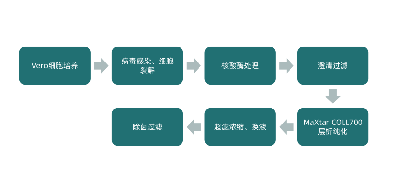 1702023394752453.png 640 (7).png