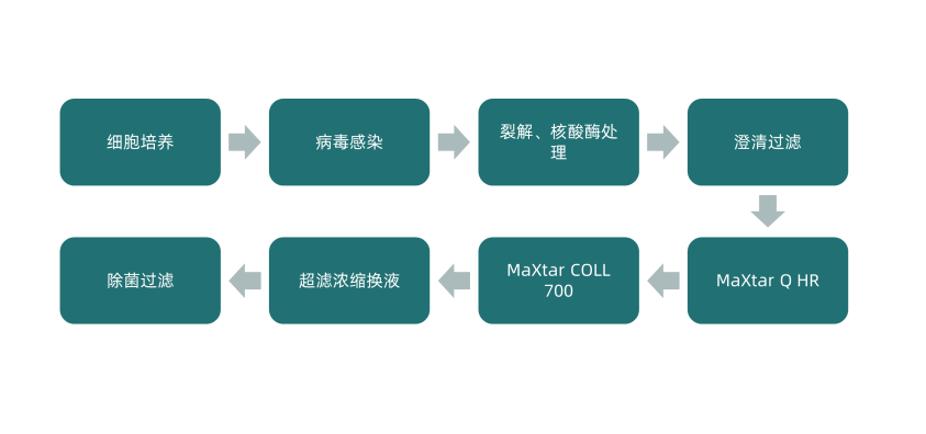 1702023532594958.png 640 (1).png