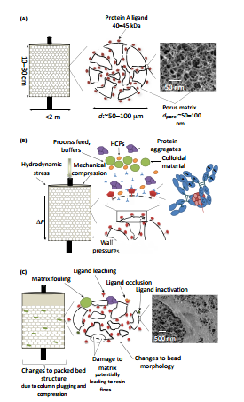 1702287744121698.png 640 (31).png