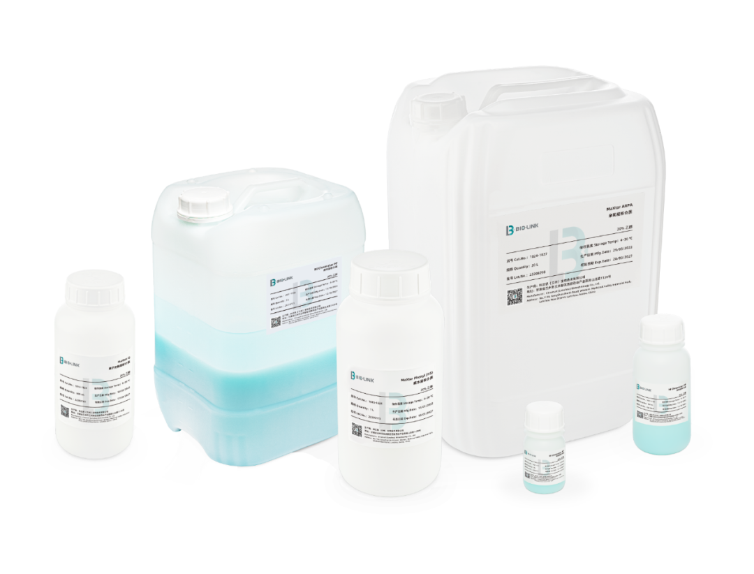 1702351687455958.png 640 (27).png