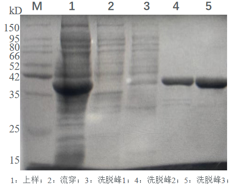 1702358169923633.png 640 (33).png