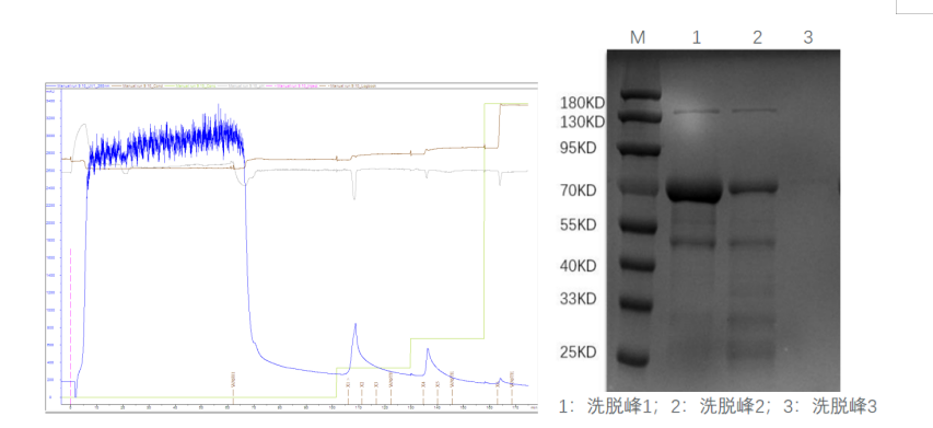 1702358184767490.png 640 (34).png