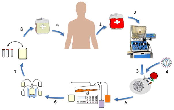 1702360618966206.png 640 (8).png