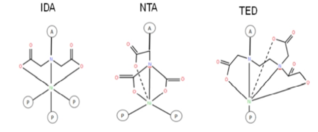 1702626591556262.png 微信图片_20231215155236.png
