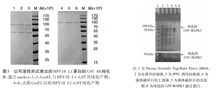 1702627487211414.png 微信图片_20231215160727.png