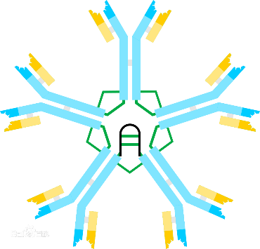 1706852647879911.png 图222.png