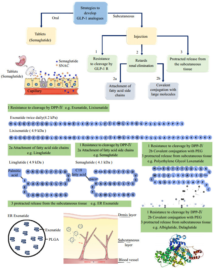 1710824728942462.png 图片1.png