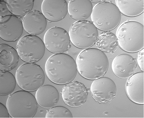 1712733417745606.png 图片1.png