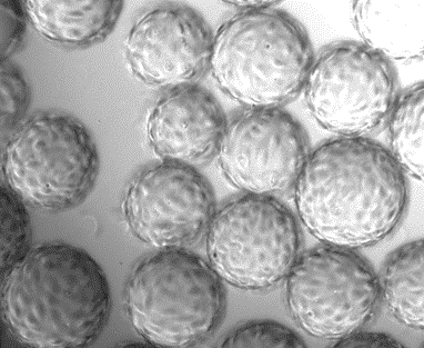 1712733425842295.png 图片2.png