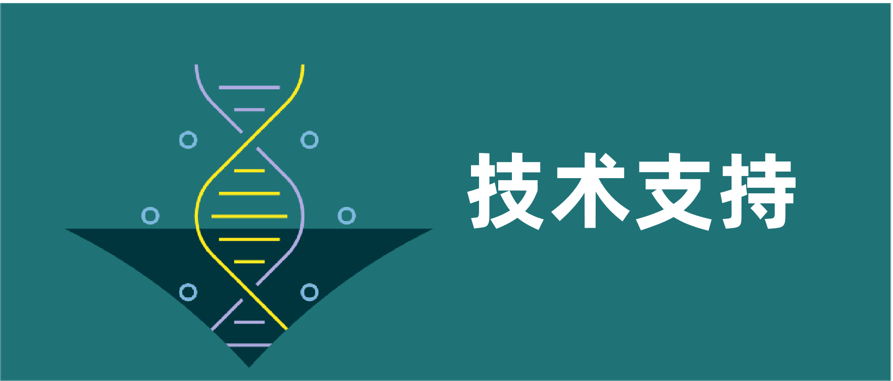 1713173680904838.png 顶图改版.png