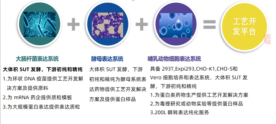 1713175172566569.png 改改改i素爱改啊改i1111111.png