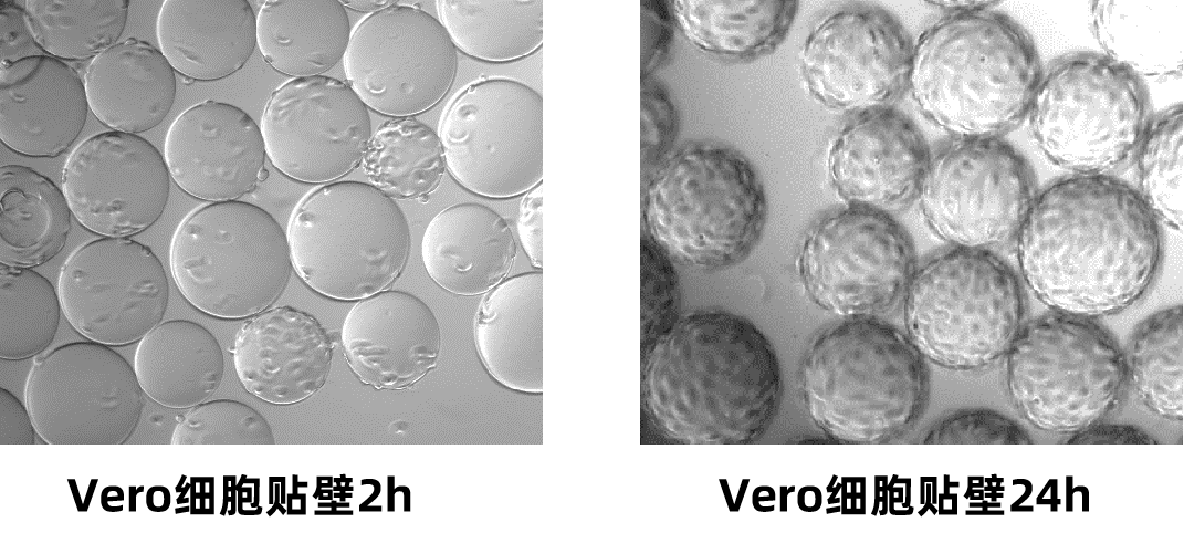 1715930871139974.png 444444.png