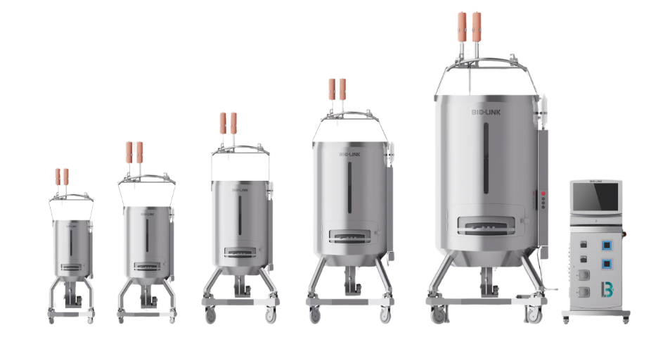 1717125481955435.png image.png