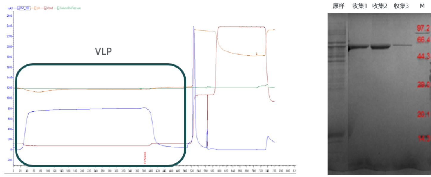 1717125941587683.png 图片1.png