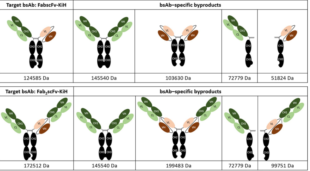 1718940007888024.png 图片2.png
