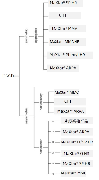 1718940051937398.png 历程图该.png