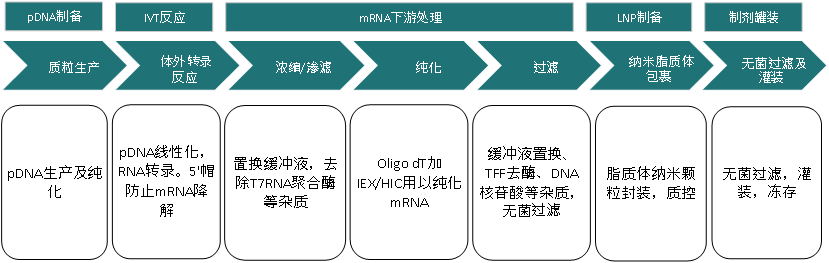 1720157237165321.png 图片1.png