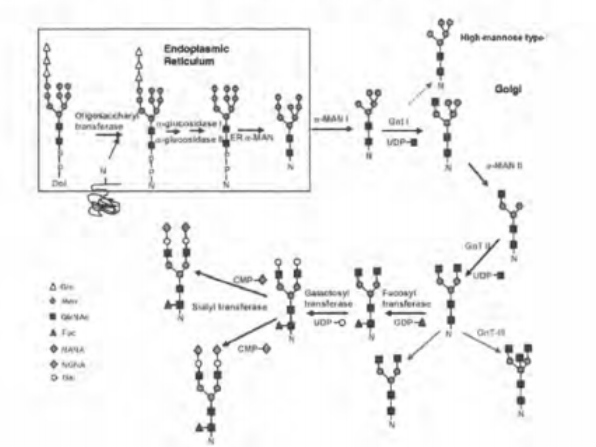 1721367460937273.png 2.png