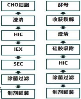 1722570736929640.jpg 微信图片_20240802115633.jpg