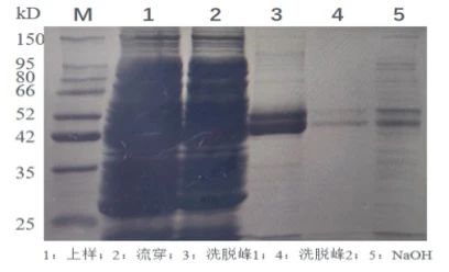 1722570986244818.jpg 3.jpg