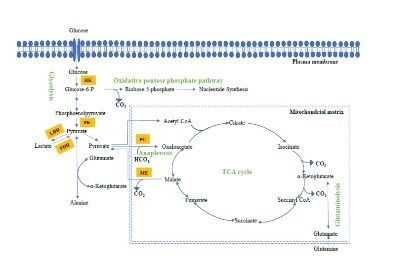 1723191125720445.jpg 微信图片_20240809160953.jpg