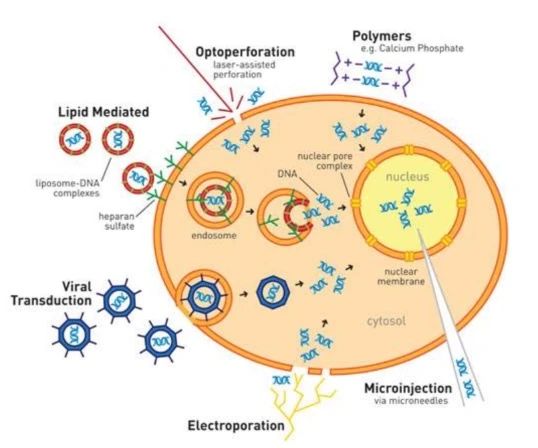 1723195657680869.jpg 微信图片_20240809172418.jpg