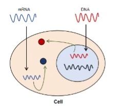 1723195741597865.jpg 2.jpg