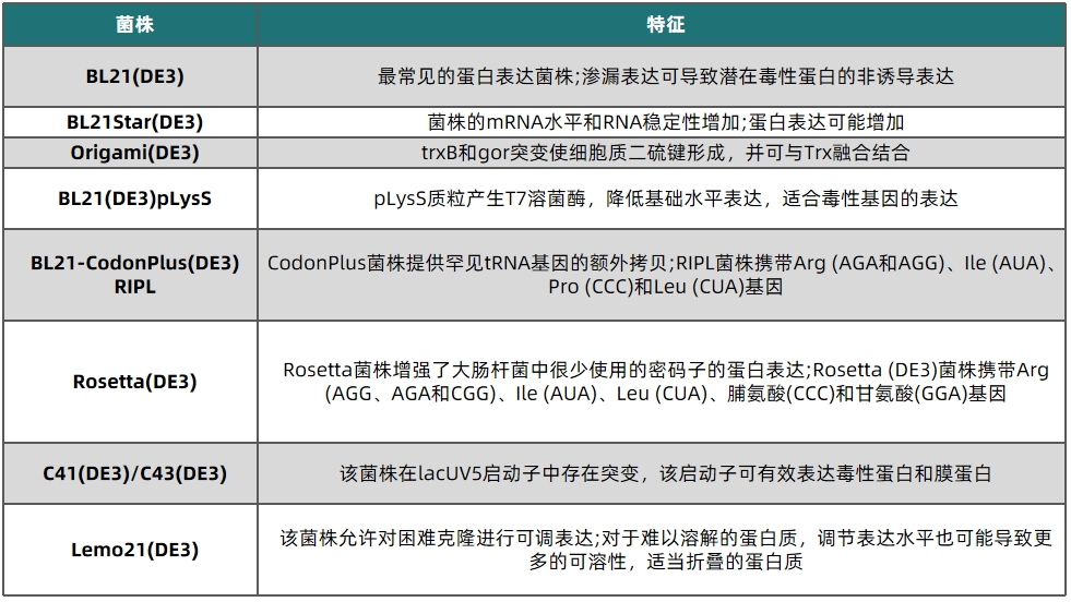 1725002994388871.png 表2.png