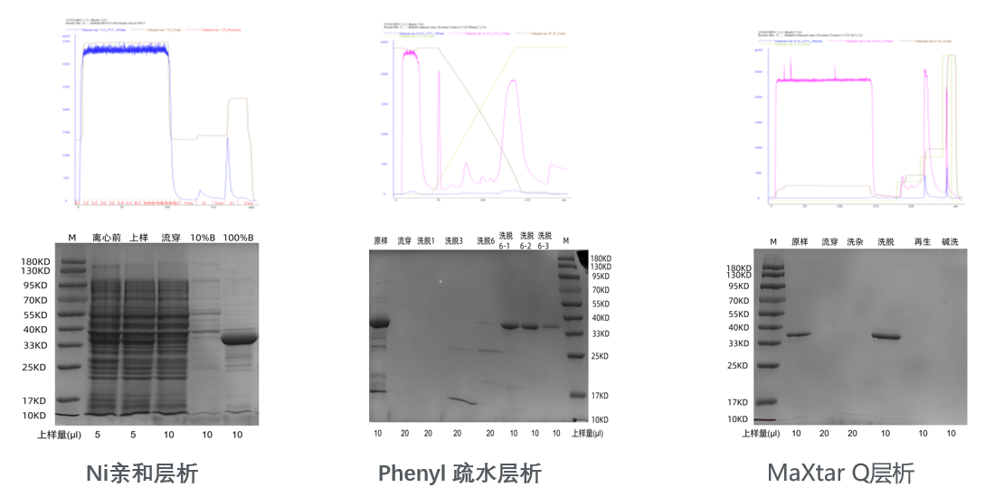 1725003296992861.png 图2新.png