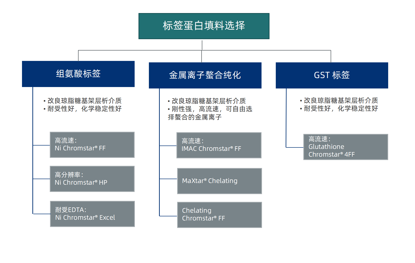 1725610598193224.png 典型产品应用进展、竞品策略分享 2024.08.30 - 副本_01(1).png