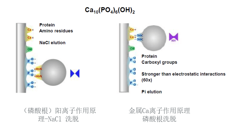 1726209723864866.png 图片5.png