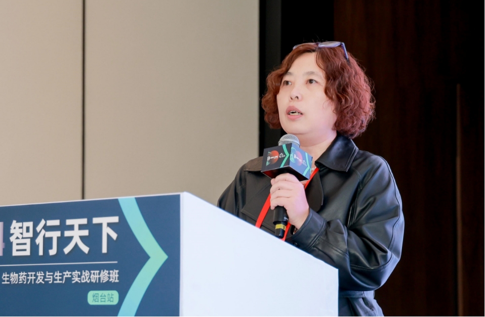 1729236351688369.png 6.png