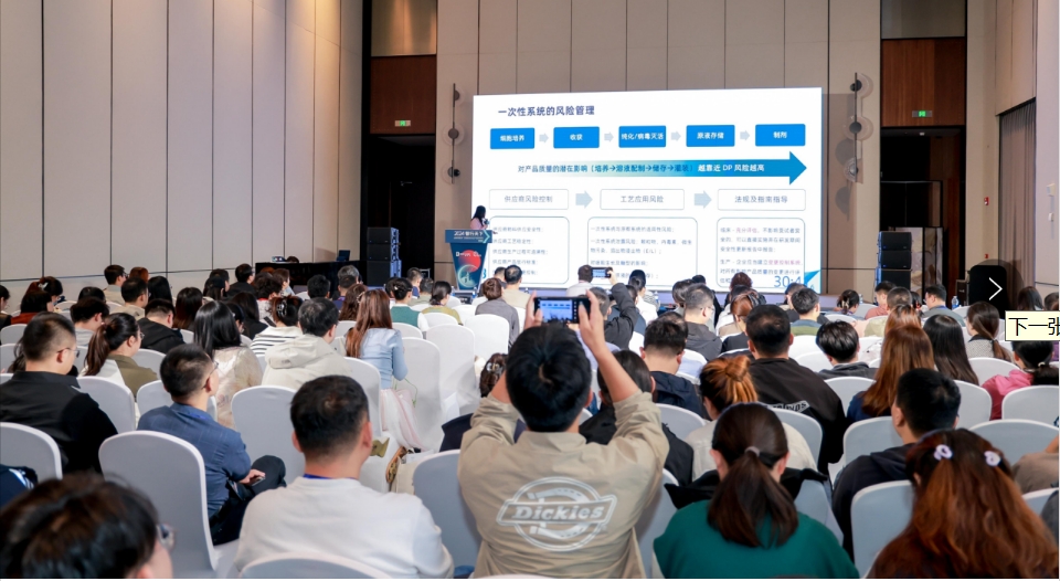 1729236837623698.png 17.png