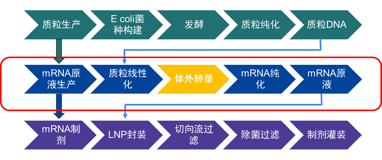 1731641748174340.png 图片1.png