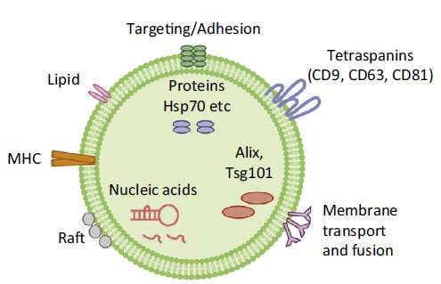 1732252743368324.png 图片1.png