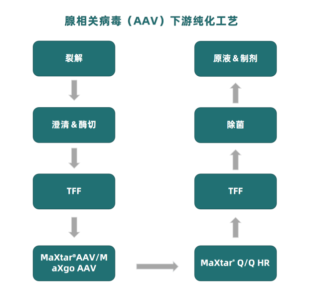 1732851747467392.png 流程副本1.png