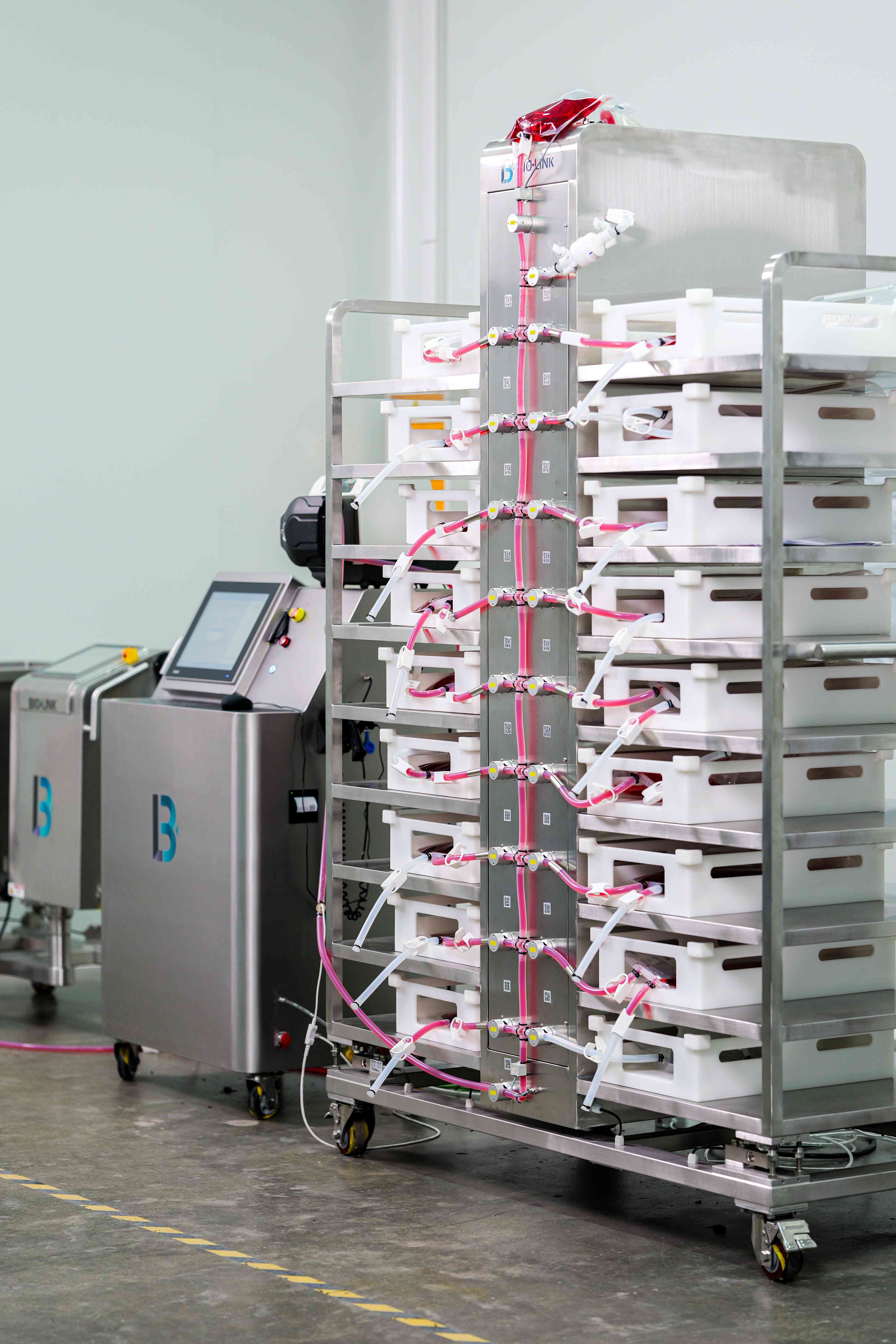 1734677888655716.jpg P1649946(1)(1).jpg