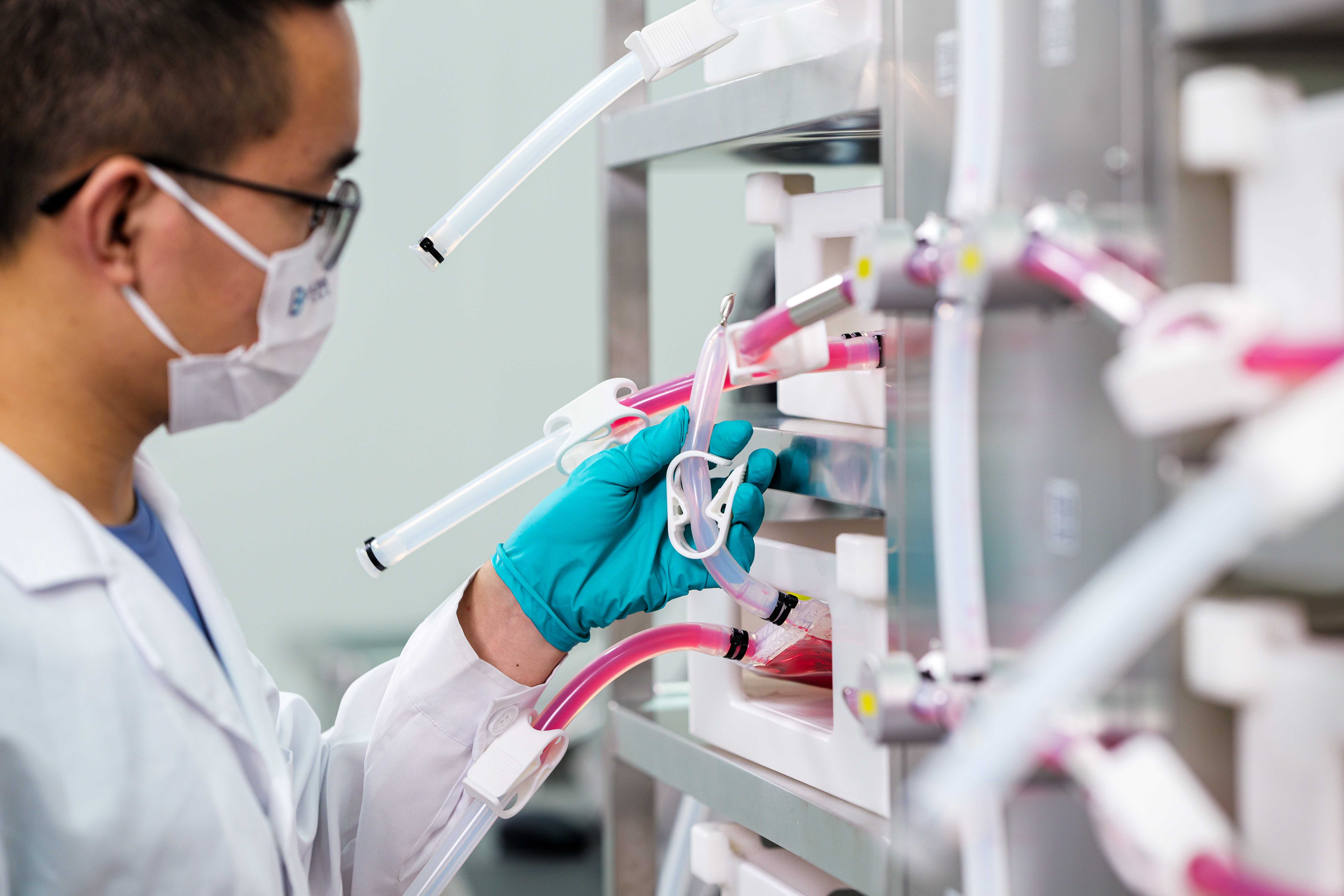 1734677902917790.jpg P1649955(1)(1).jpg