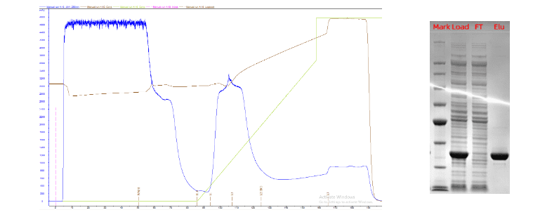 1735275718698632.png 图片1.png